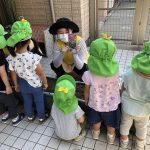 ♡6月11日♡『ヒマワリの種を植えました!』