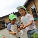 「じゃがいも収穫」