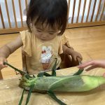 とうもろこし触ったよ!…そよかぜ組