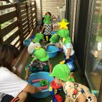 そよかぜ組・ふたば組 水遊びが始まりました!