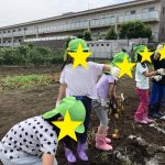【たいよう】こんなにとれたよ~!