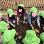 💛11月27日💛『大根の種まき』