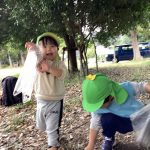 どんぐり、落ち葉拾い