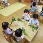 そよかぜ組：食育「ほうれん草ちぎり」