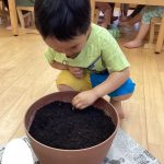 何色のお花が咲くかな?