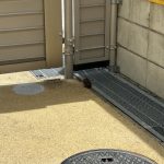 「ひな鳥の救出作戦！」
