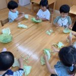 食育活動 キャベツちぎりとキノコさき