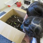 「コンポスト作り」　～微生物いるかな・・～