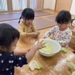 食育 ふたば キャベツちぎり