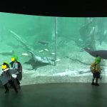 ５歳さんの１か月