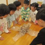 たいよう組　しいたけの栽培を始めました☆