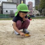 ふたば組10月すくわくブログ「自然・虫探し」