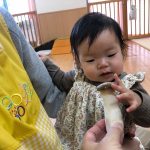 きのこ