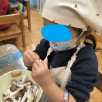 きのこ割きをしました！
