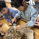 きのこ栽培を始めました！
