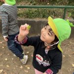 すくわくプログラム　木①