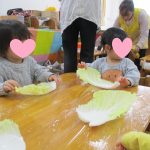 11月11日 『そよかぜ組食育 白菜ちぎり』