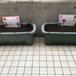 ♡１２月３日♡『チューリップを植えました！』　