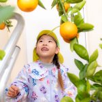 うわー！みかん畑だ！！～とうきょうすくわくプログラムでの活動⑤『みかん狩り体験』～
