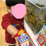 お当番、始めました☆