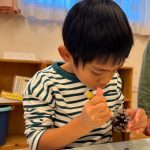 クリスマス制作「まつぼっくりツリー」
