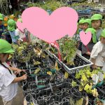 花壇・庭づくり事業を行いました