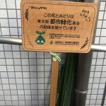 お花を植えました