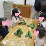 12月3日　『ふたば組食育：ほうれん草ちぎり』　