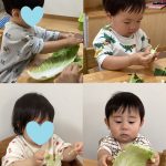 乳児　12月の食育