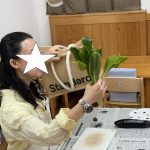 【ベジリンク(野菜の課外授業)がありました!】 R7.6.4