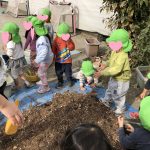 12月11日;『チューリップの球根植え』乳児組
