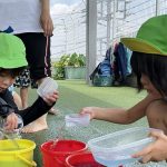 とうきょう　すくわくプログラム自然７月
