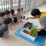 すくわくプログラム 苗植え