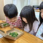 〈すくわくプログラム自然10月〉