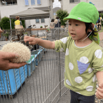 移動動物園