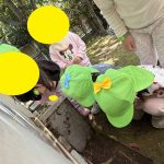 「公園で虫探し」