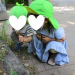 ころころだんご虫さんこんにちは!