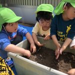 幼児クラス　プランターの土づくり