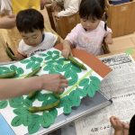 ふたば組・うみ組「お豆が出てきたよ！」
