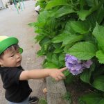 そよかぜ組の小さな発見