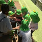 5月　ふたば　パプリカ