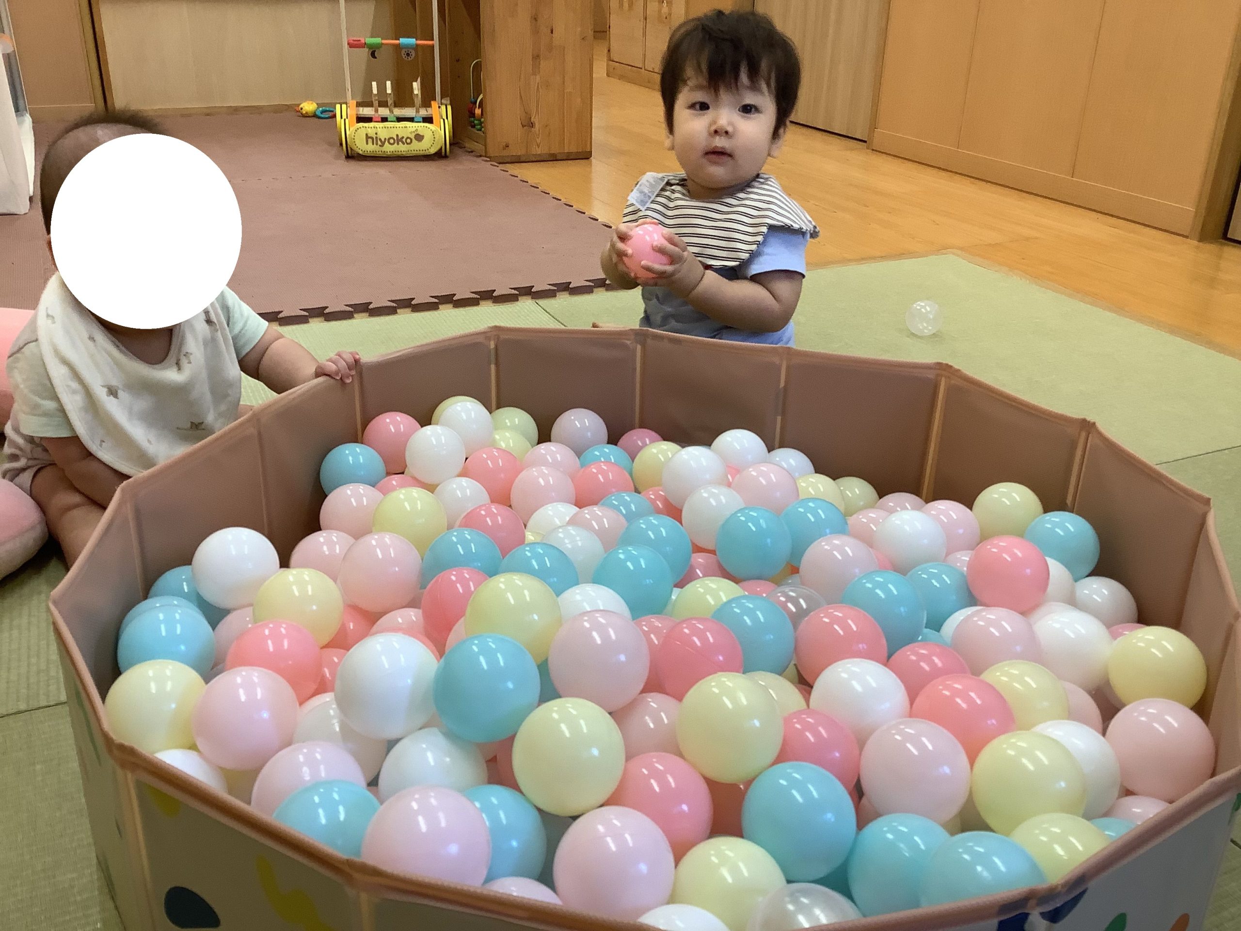 だいちぐみさん