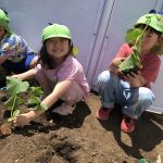 「たいよう組 野菜の苗植え」