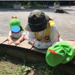 6月 そよかぜぐみの活動はダンゴムシ探しです
