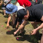 田植えに参加したよ！