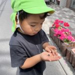 花育