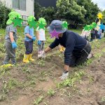 じゃがいも掘り(幼児)