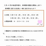 園庭で遊びましょう