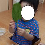 ほうれん草ちぎり