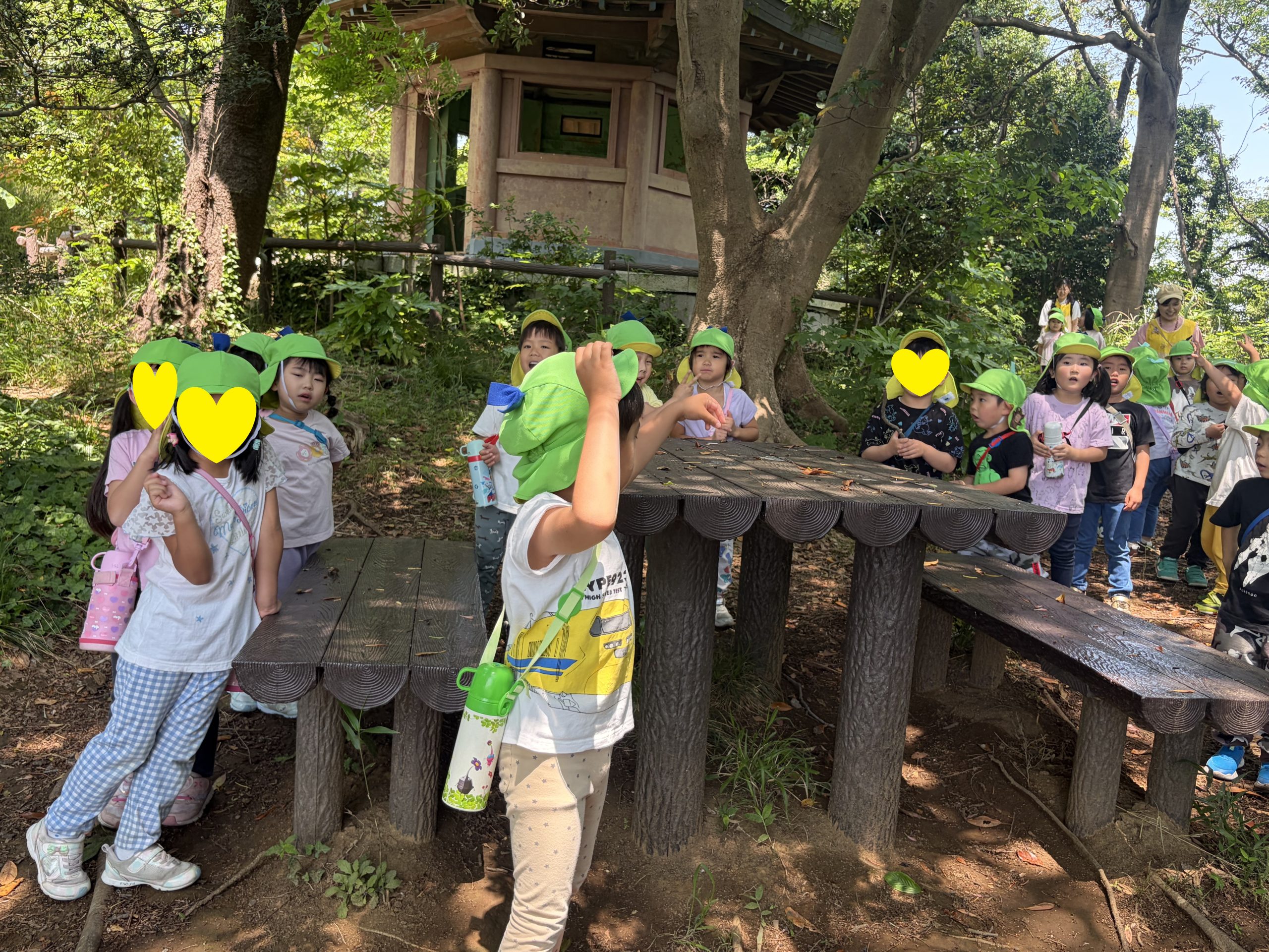 画像：ブログ